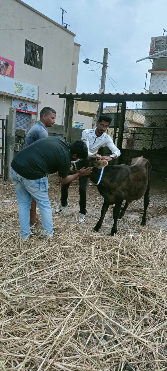 birthday celebration